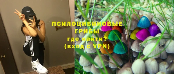 таблы Алзамай