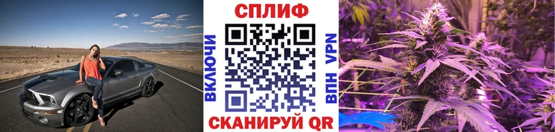 Канабис гибрид Чишмы